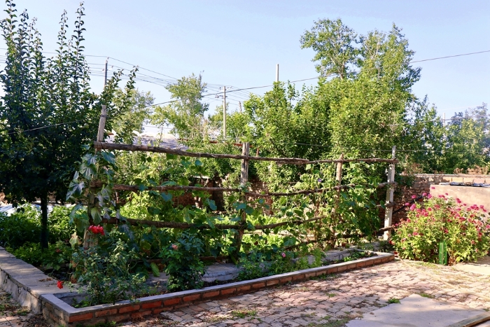 图为：一六六团四连职工季红花家的院子种植的瓜果蔬菜（赵文举 摄）