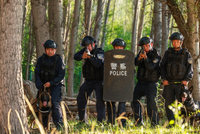 2023年9月15日，新疆塔城边境管理支队实训基地，训导员正在开展警犬协同抓捕等专业科目训练。 (2)