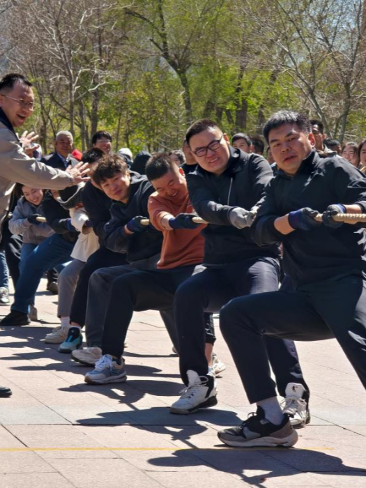 图片8