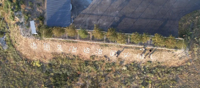 图片5